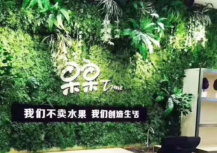 绿植背景墙